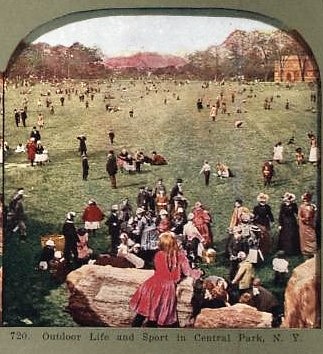 nypl-digitalcollections-510d47e1-ae3c-a3d9-e040-e00a18064a99-001-w